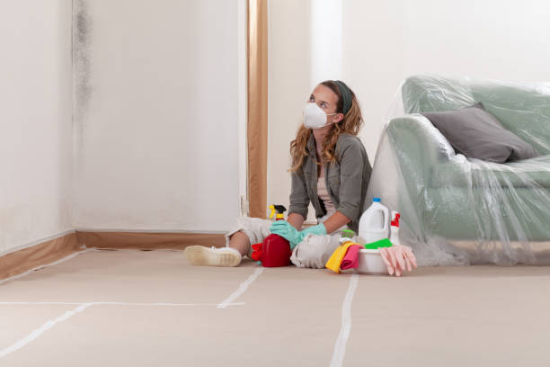 Reliable Mold Inspection And Testing contractor in Yorktown, TX by 24 Hour Mold Removal