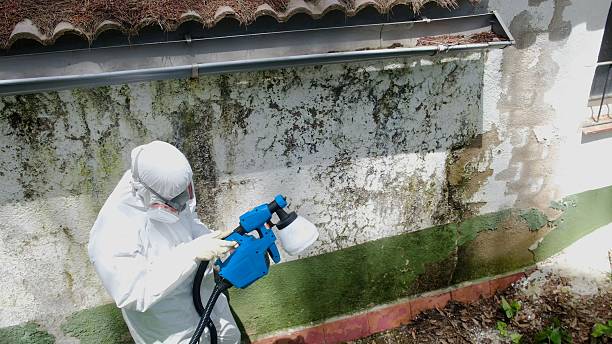 Top rated local Mold Inspection And Testing specialists in Yorktown, TX